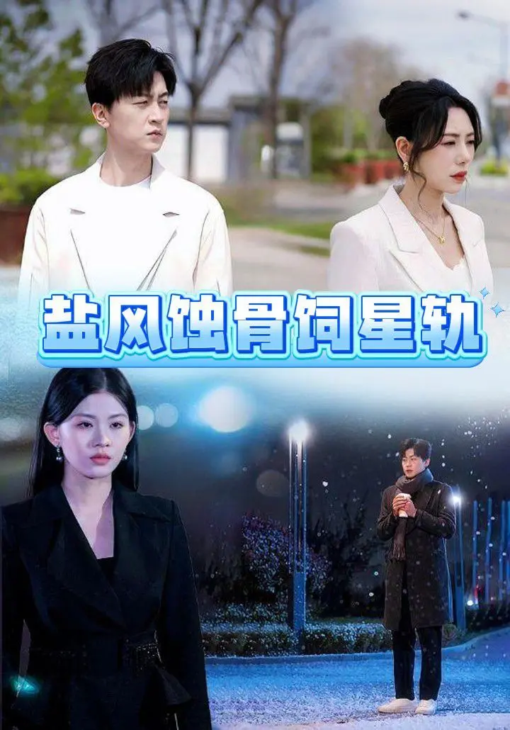 《盐风蚀骨饲星轨》：硬核悬疑惊心动魄，情感抉择扣人心弦的年代谍战大戏