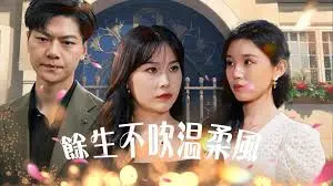 余生不吹温柔风 海报