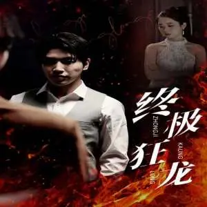 《终极狂龙》：功夫巨星的硬汉柔情，街头格斗中的热血传奇